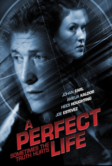 ดูหนังออนไลน์ A Perfect Life พิศวาสสีเลือด (2010)