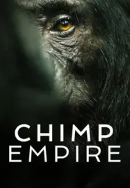 ดูหนังออนไลน์ฟรี CHIMP EMPIRE: อาณาจักรชิมแปนซี (2023) NETFLIX